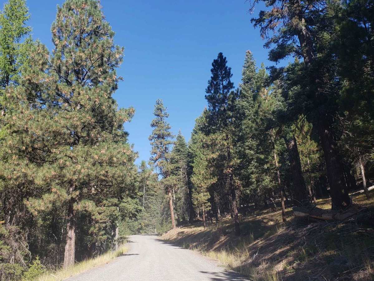High Lake Road photo 4