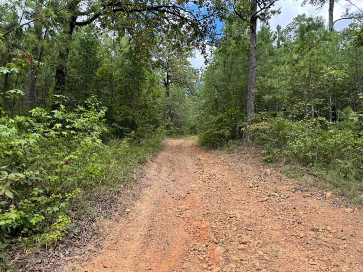 Smoluck - Trail 1653 photo 3