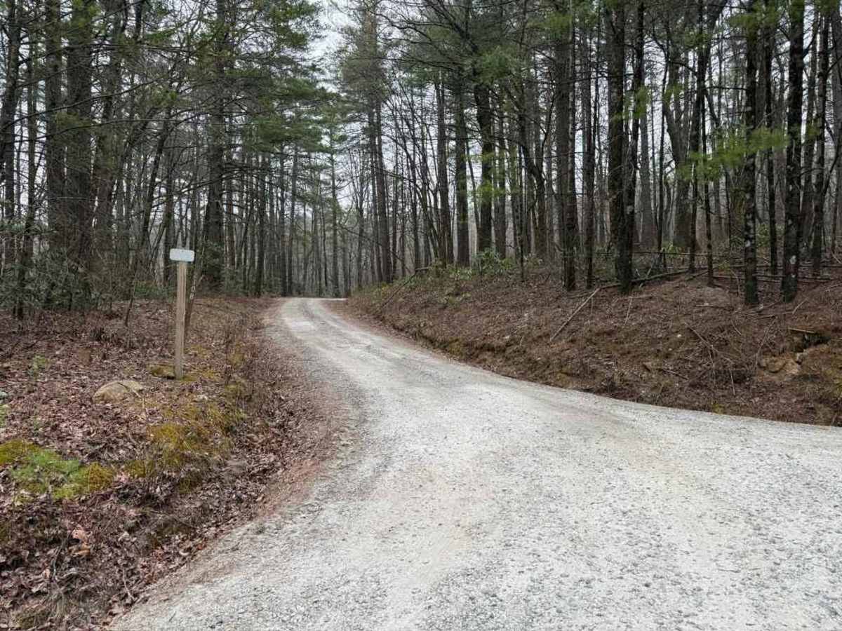 Rich Cove - FS 270B trail photo