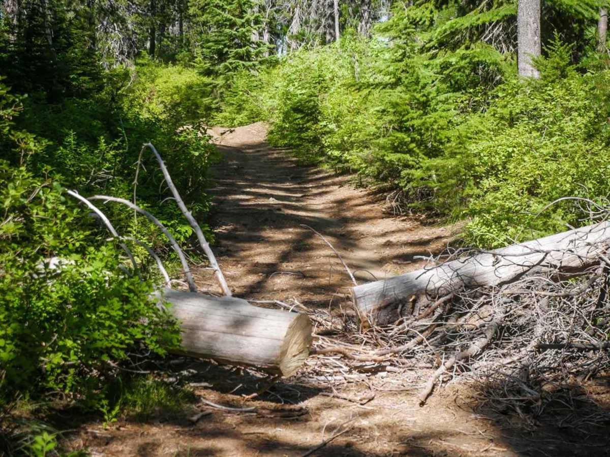 Dam Ridge ATV photo 4