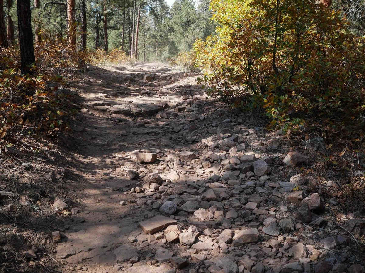 Cutover photo 6