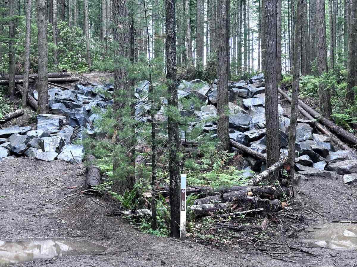 Twin Rock Hill Climb trail photo