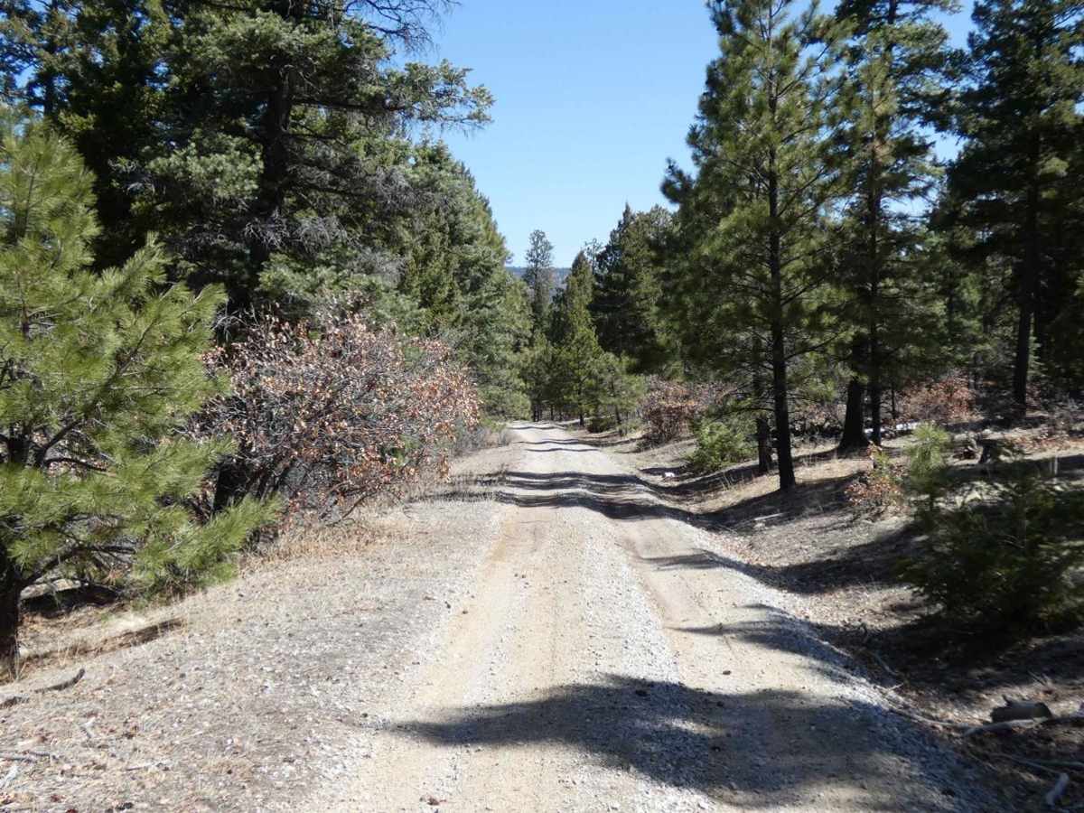 Jacques Canyon FSR-719 photo 4