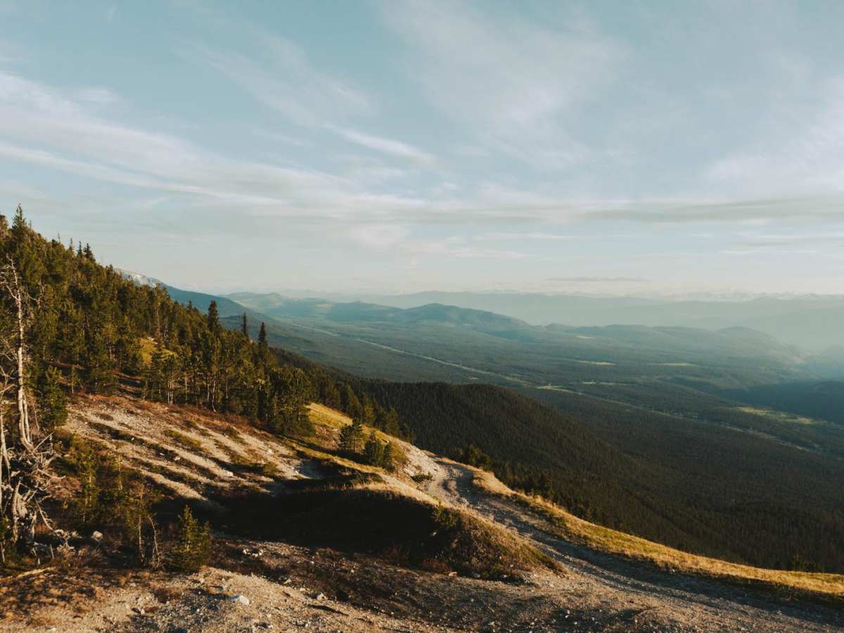 Jesmond Fire Lookout photo 2