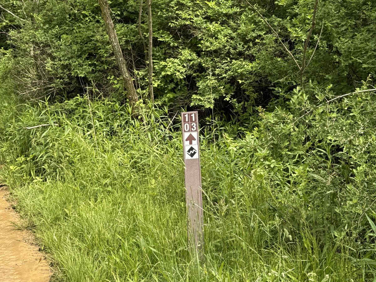 1103 Black trail photo