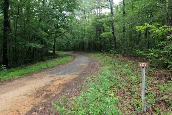 Gatlin Point North FSR 228