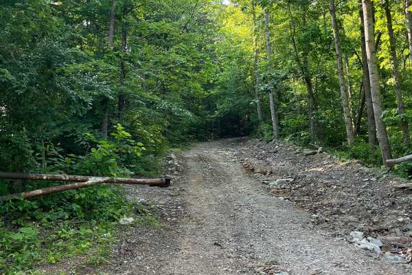 Trail 5