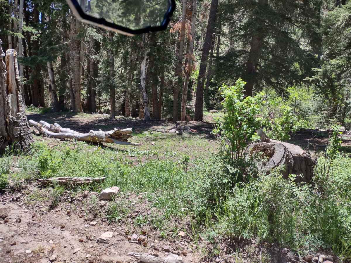 Pole Canyon Road photo 5