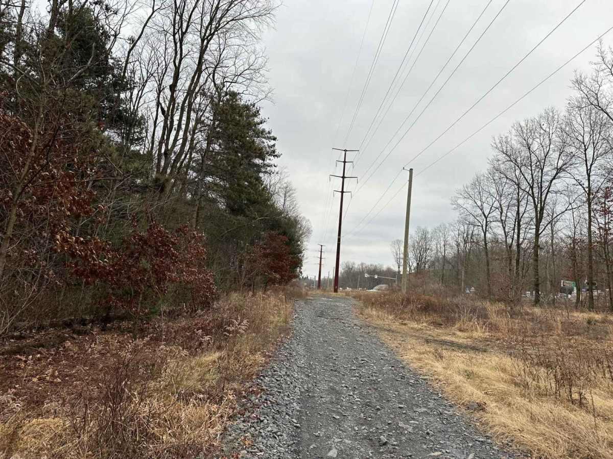Locust Gap 27 photo 6