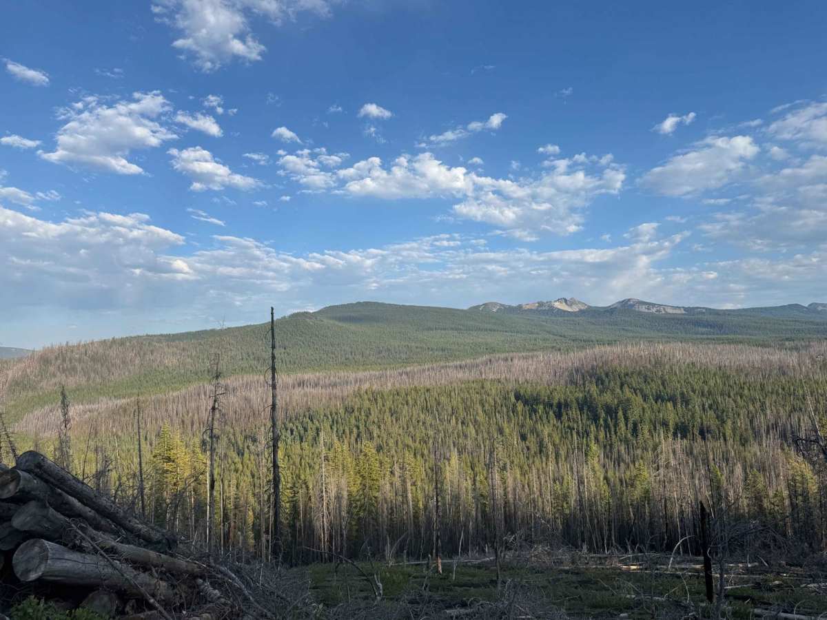 Cinnamon Butte Road photo 3