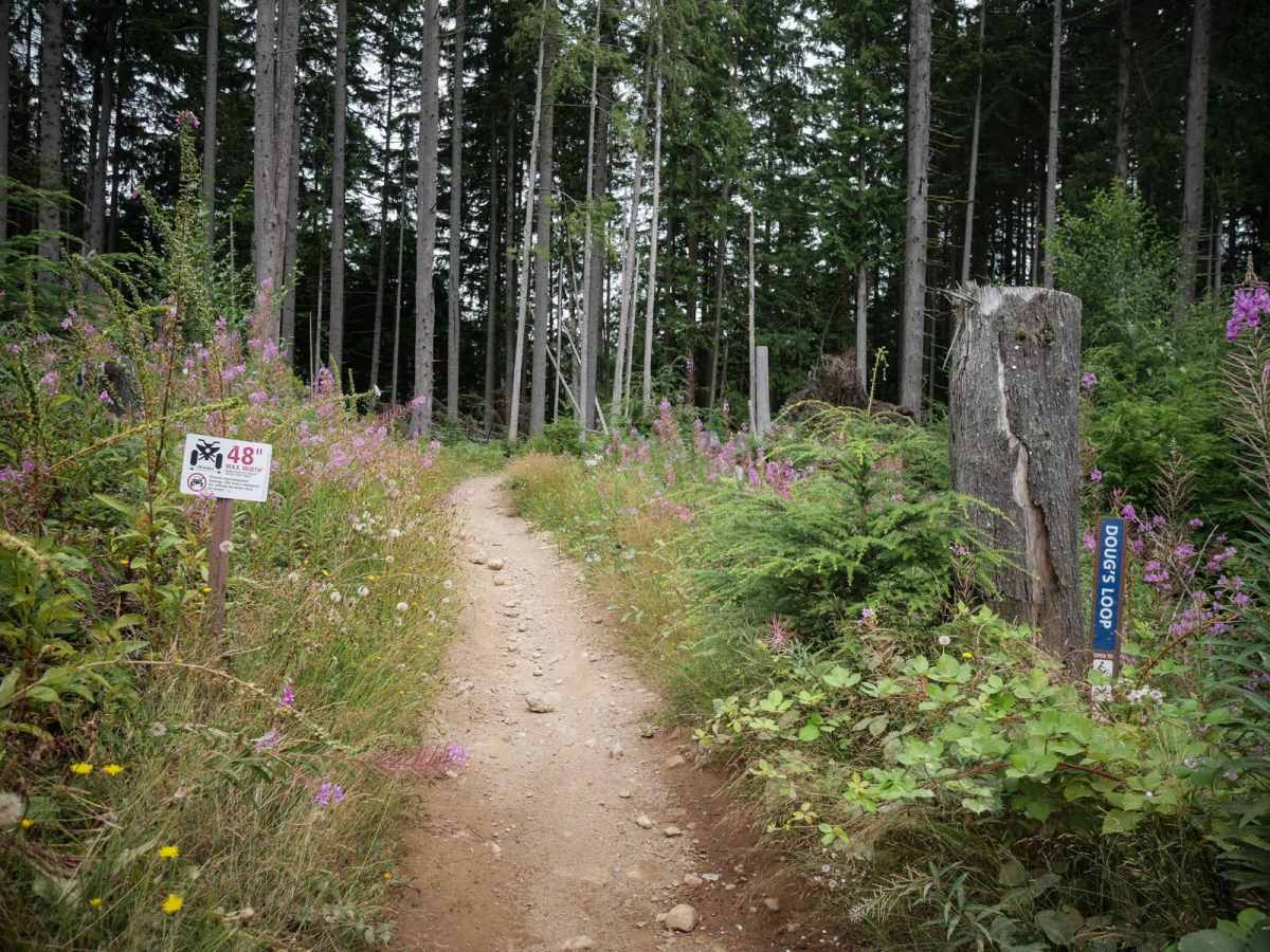 Doug's Loop photo 3
