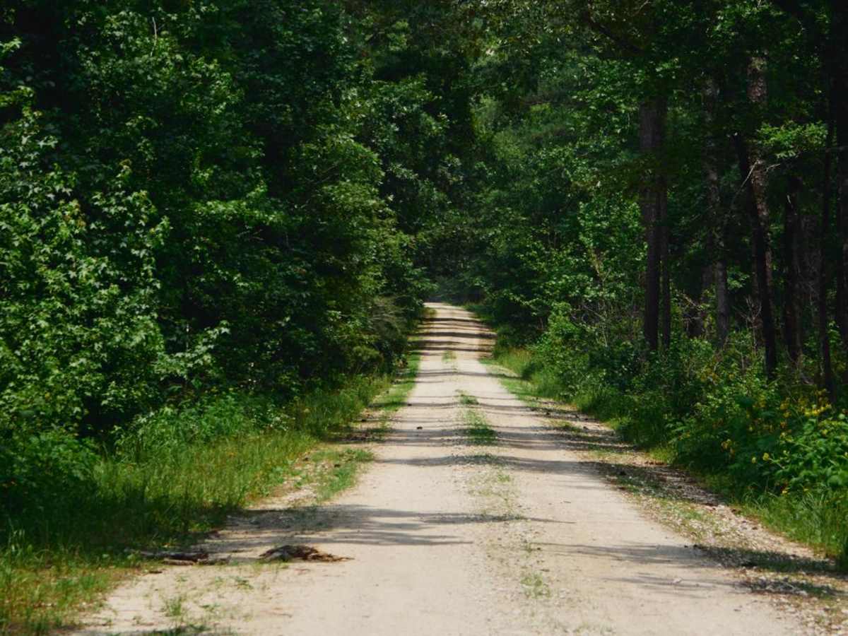Guilliard Lake - FSR 150 photo 2