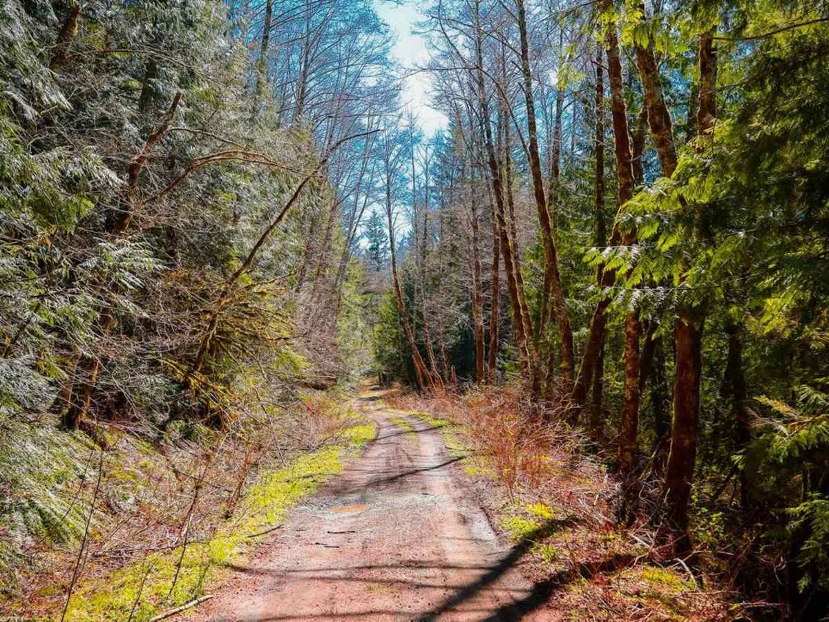Texas Pond Road trail photo