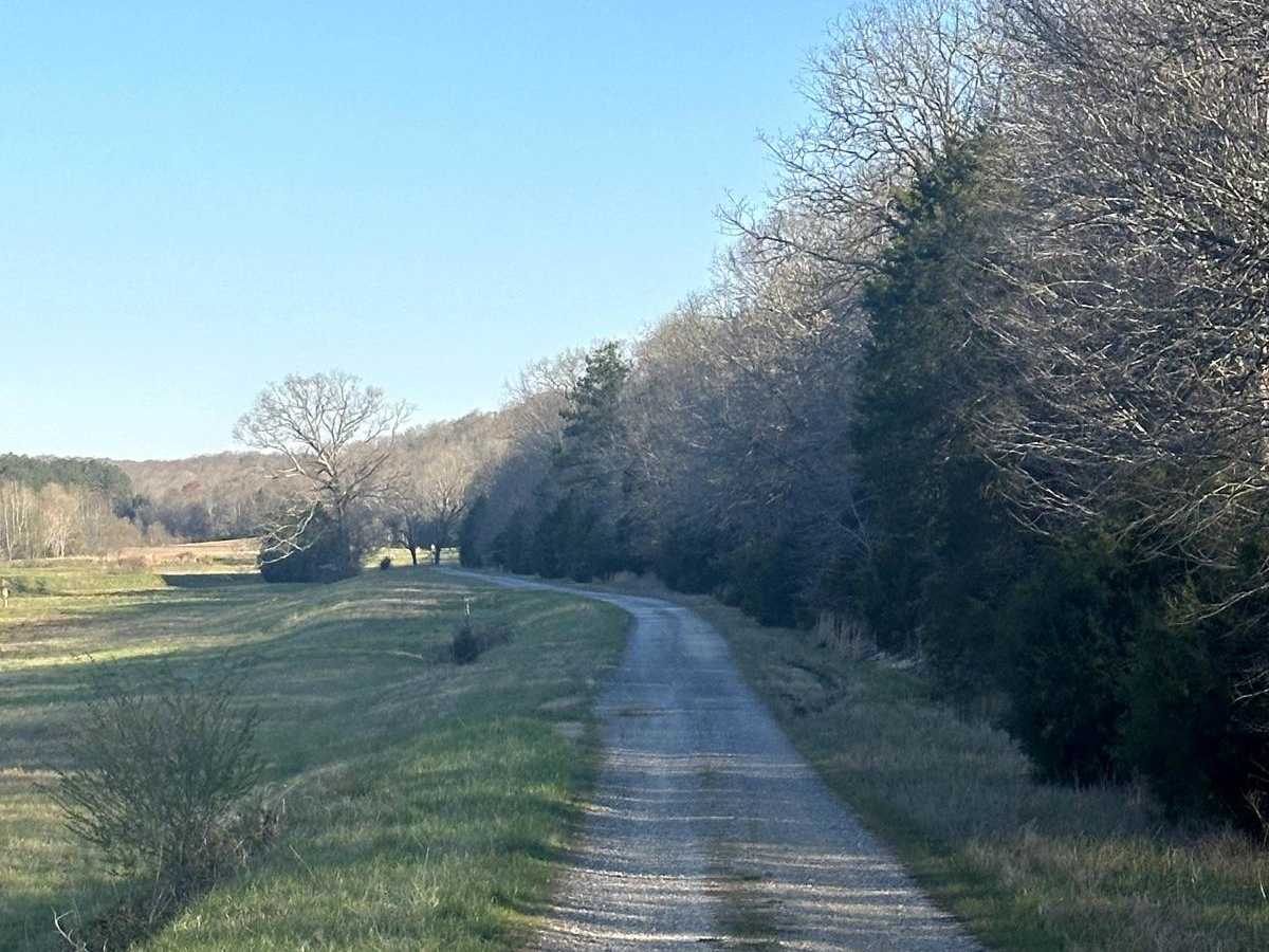 Long Creek Road photo 4