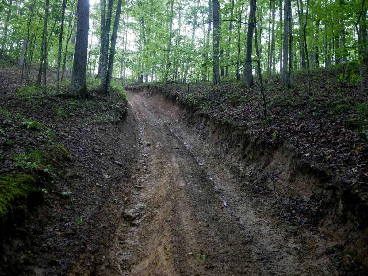 IB 64 trail photo