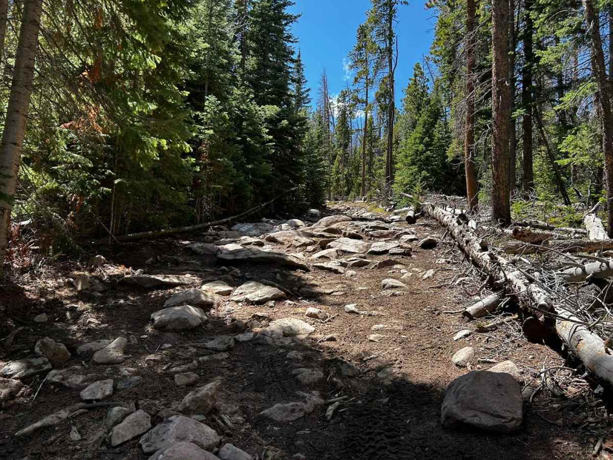 Pratt Creek Cutoff North photo 5