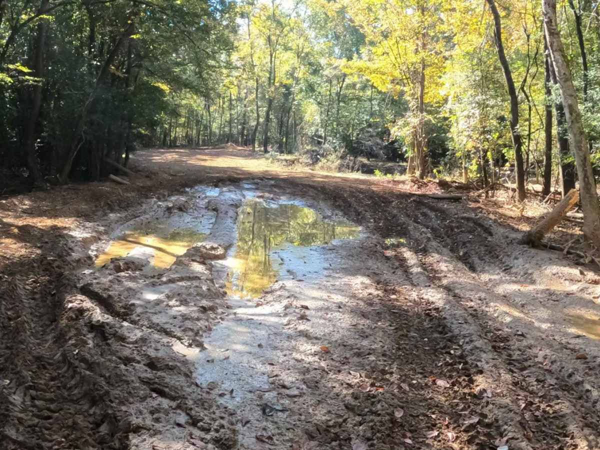 Restoration Trail photo 6