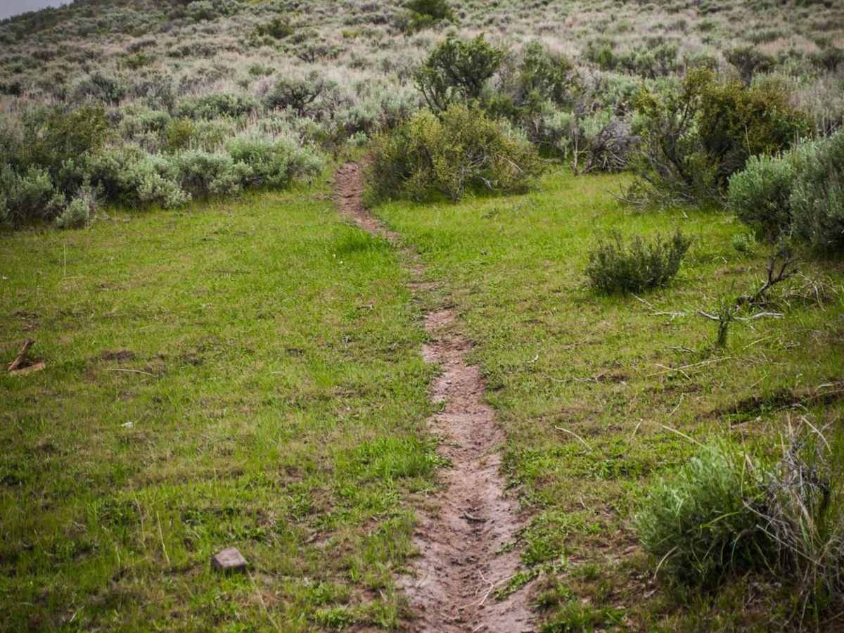 Sly Gulch photo 6