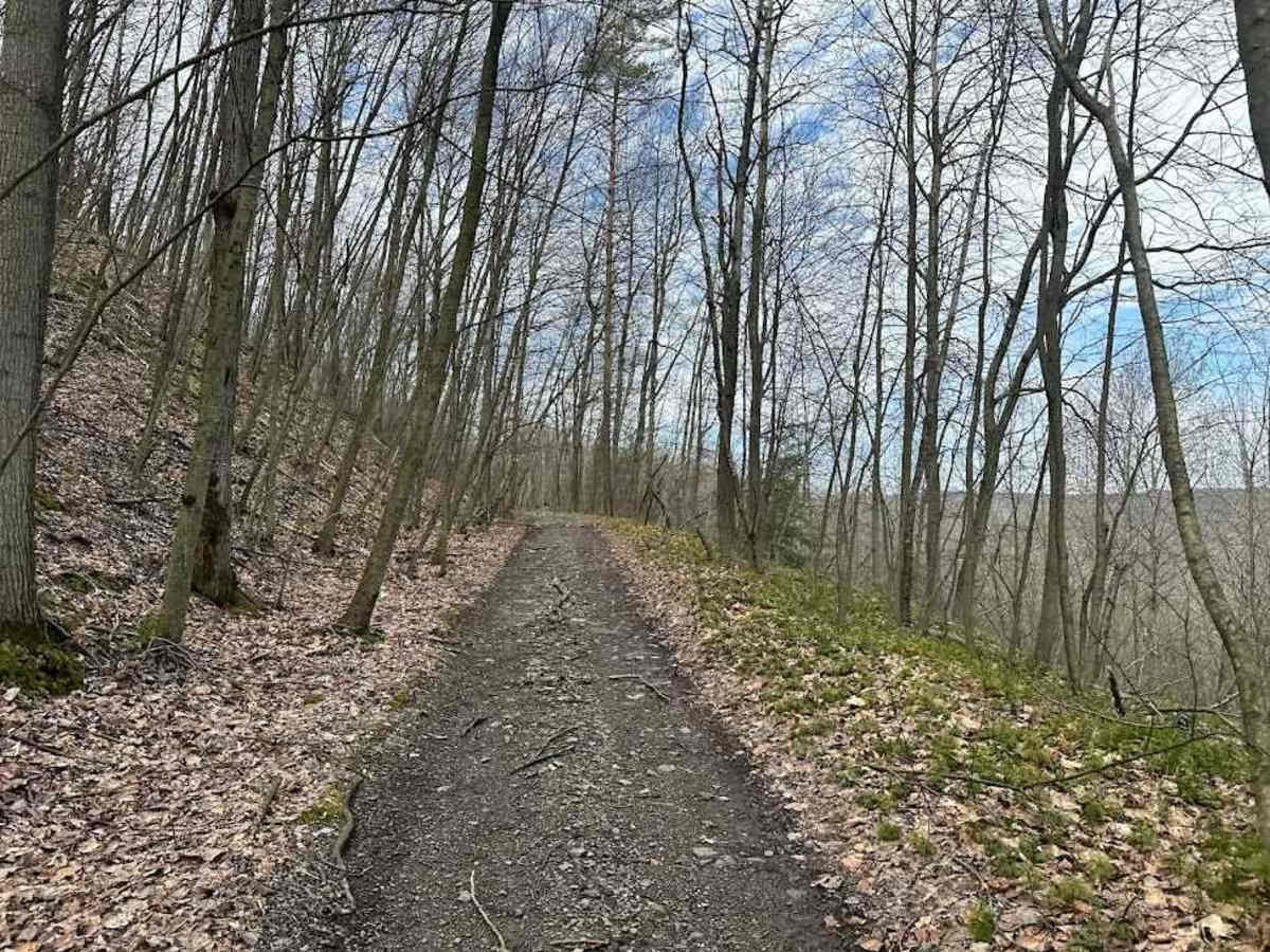 Ashland 116 trail photo