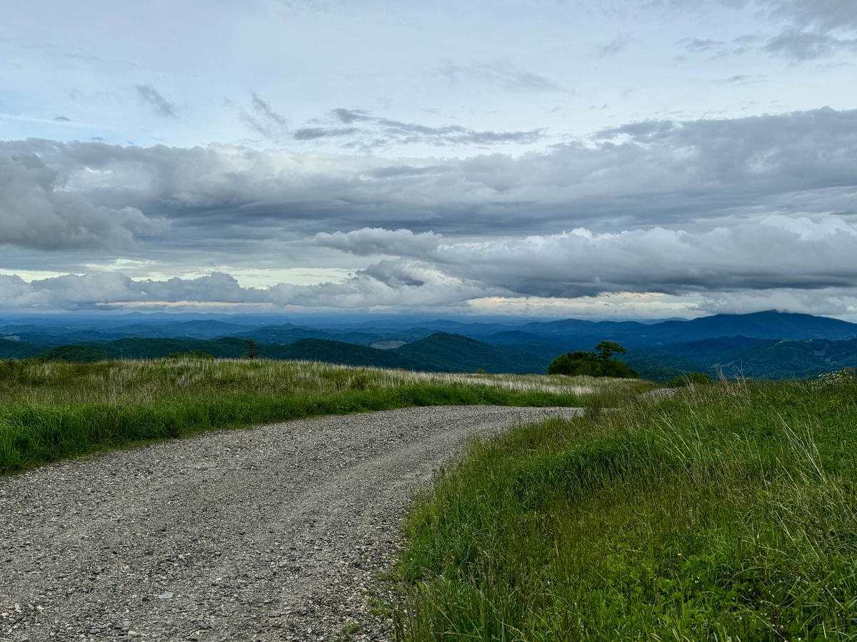 Pond Mountain Game Land Access Road trail photo
