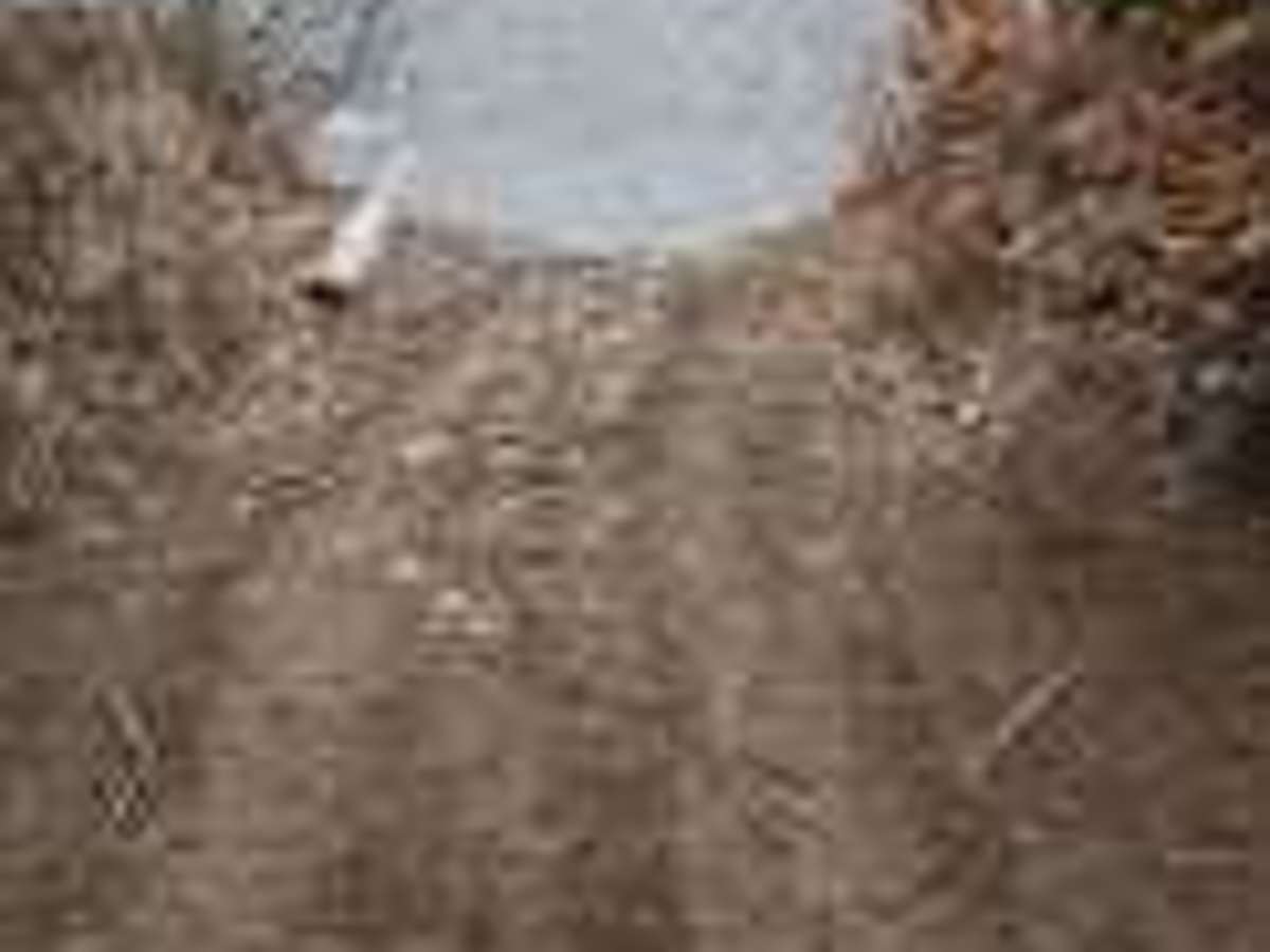 Pioneer Street Hydro Line photo 4
