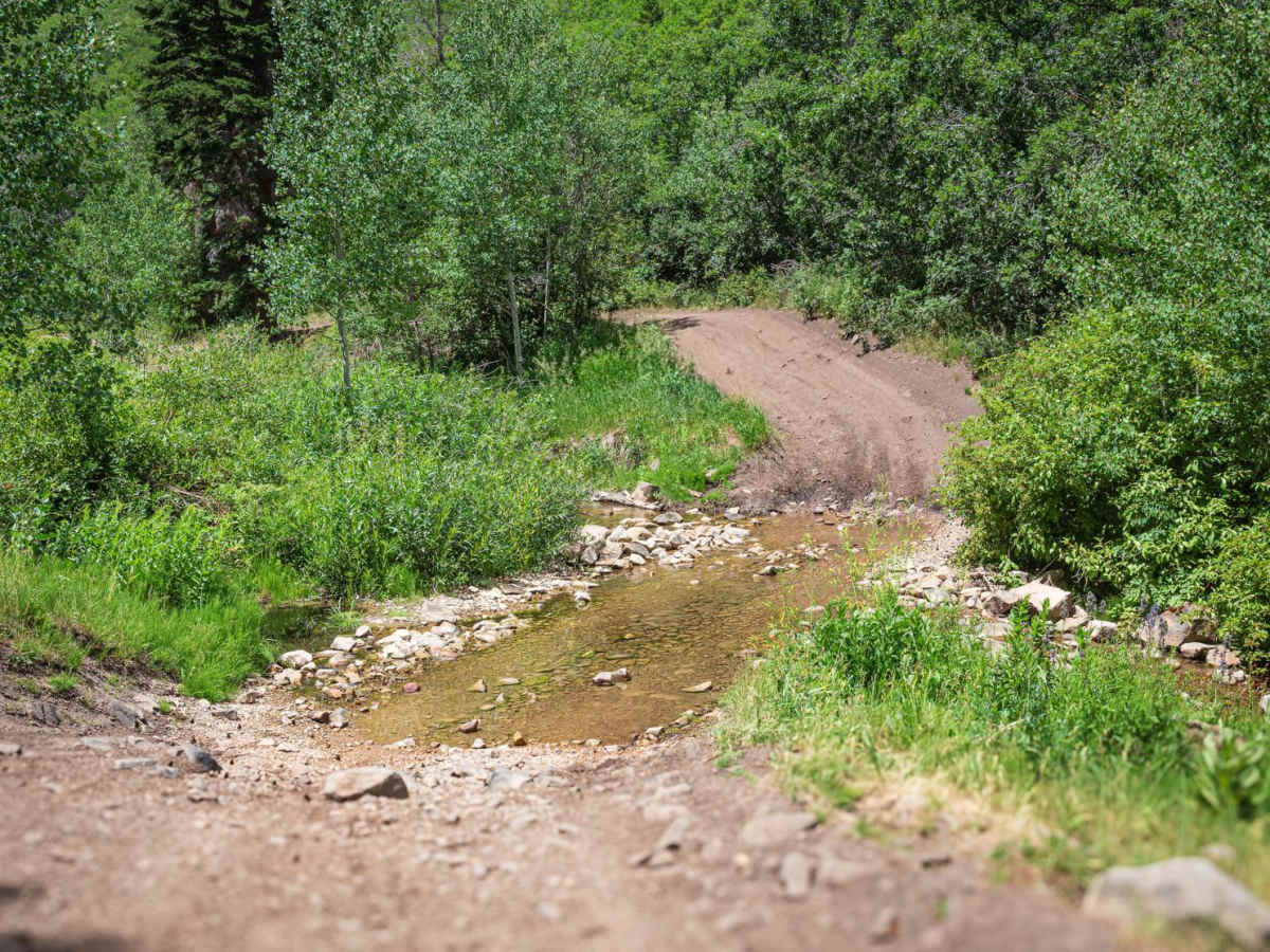 Little Valley - FR 70121 photo 4
