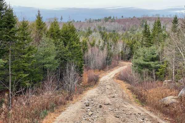 Shady Lake Trail