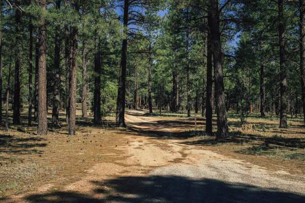 Hunter Hill Camp