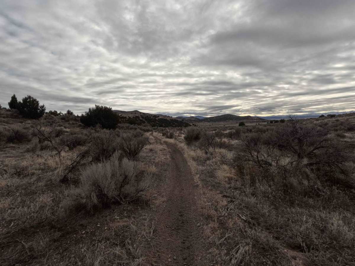 505 photo 2