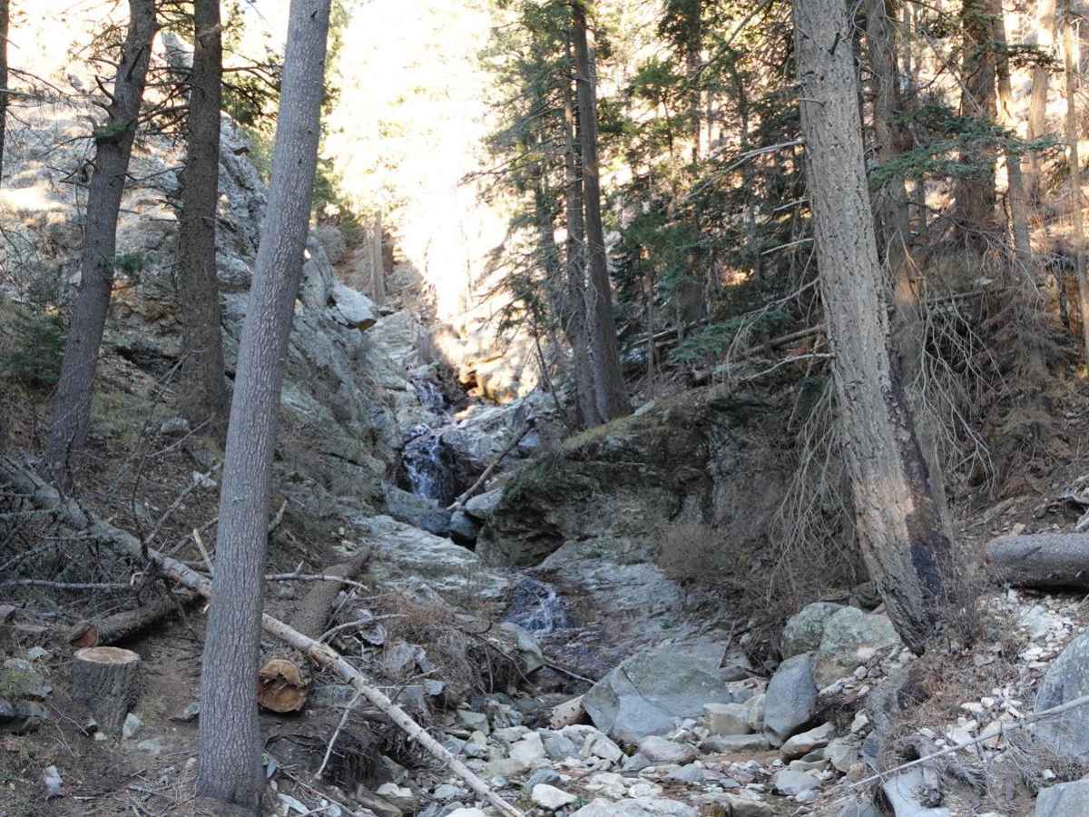 West Swift Trail 366 photo 3