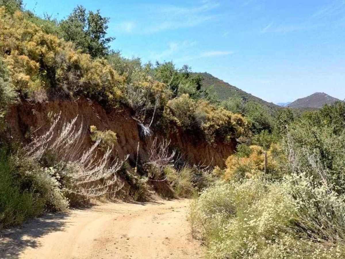 11S03 Lusardi Truck Trail photo 5