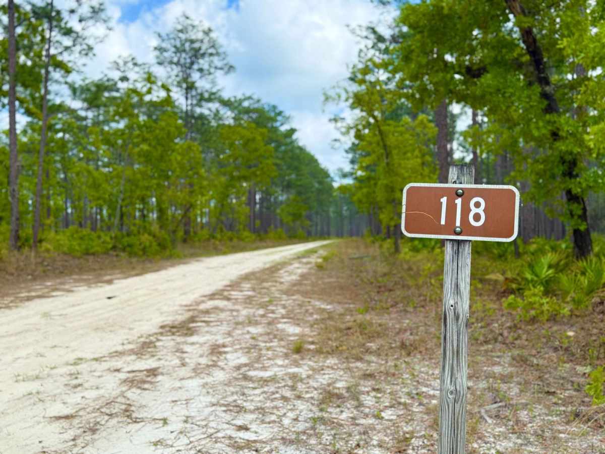 Bow East 118 trail photo