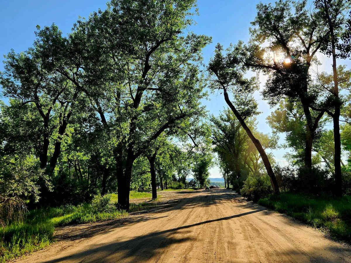 The Desert - Kimble Bottoms trail photo