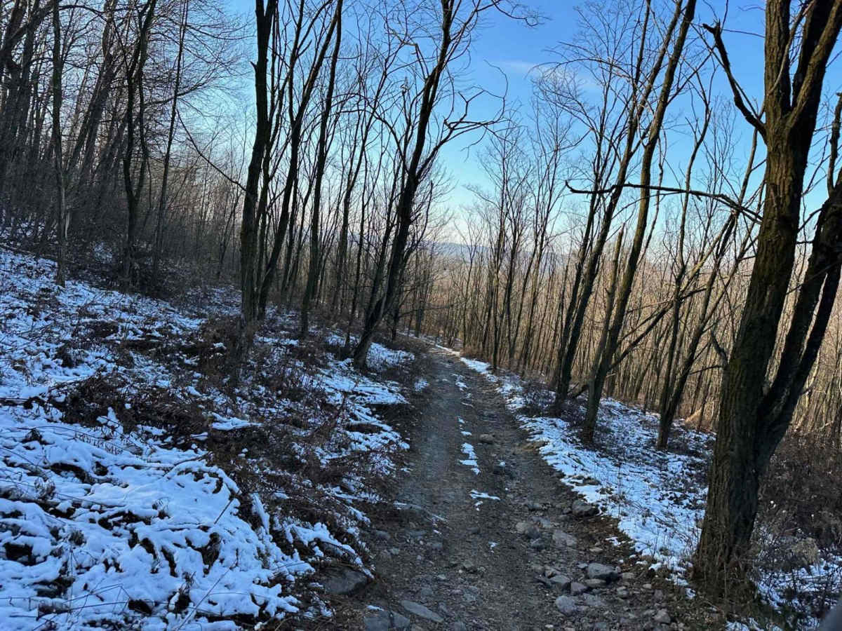 Locust Gap 7 - Northwest trail photo