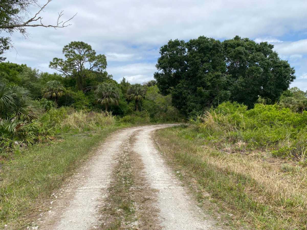 North Loop West photo 6