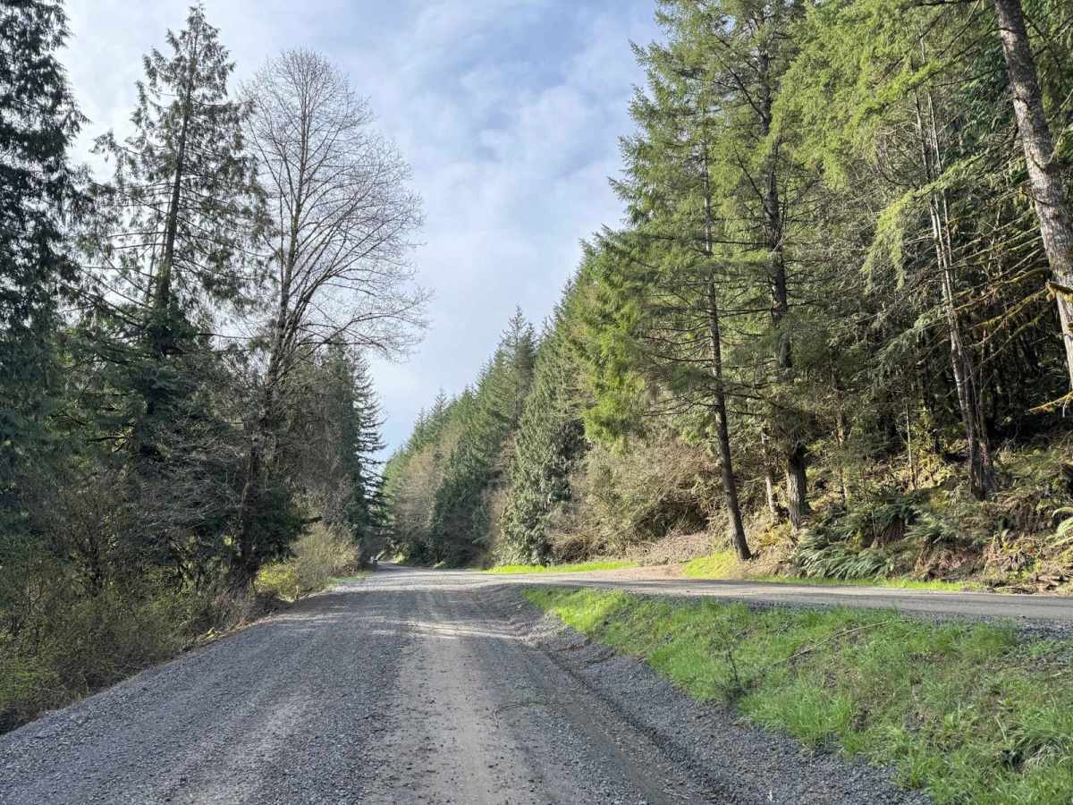 Shaffer Road photo 5