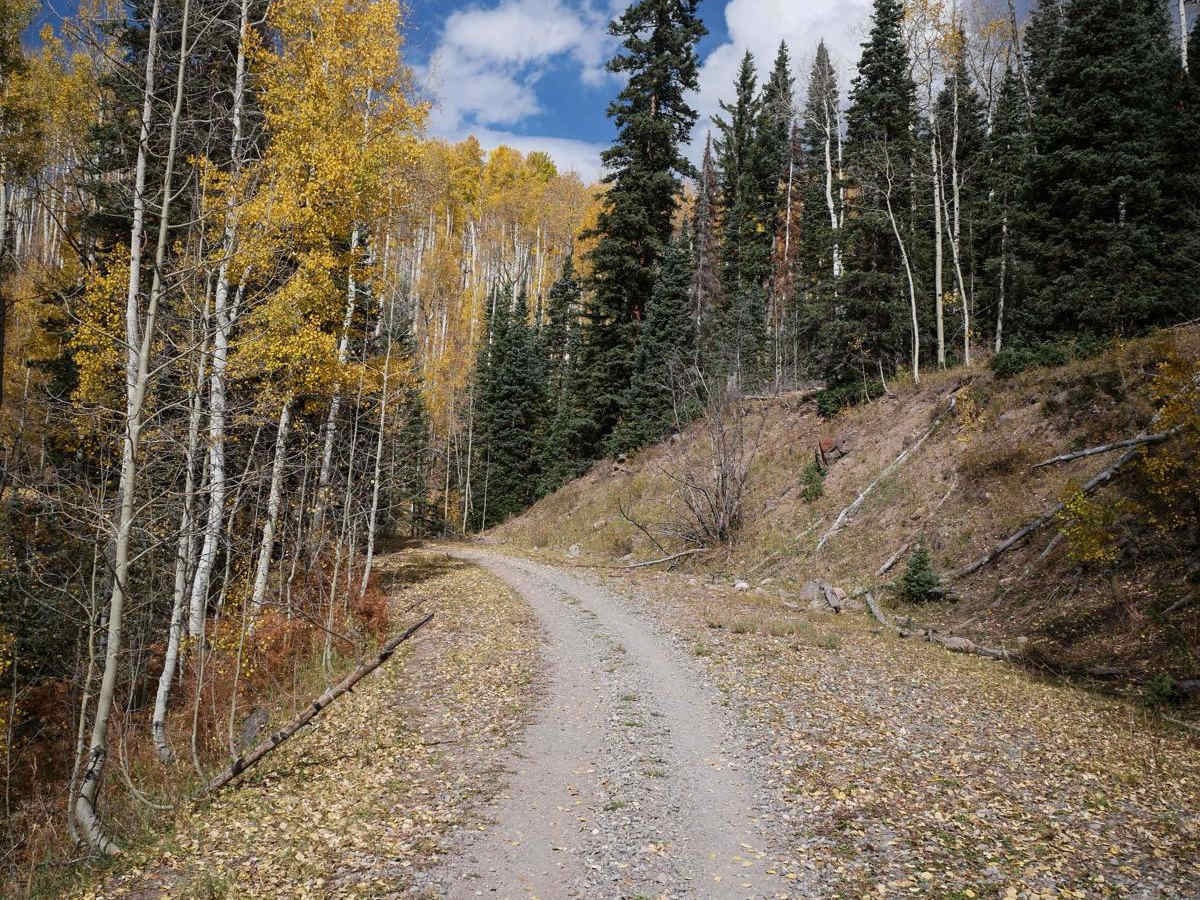 Stealey Mountain ATV trail photo