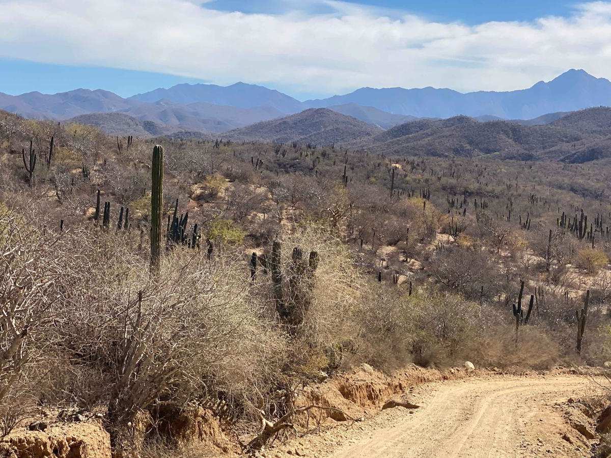 Rancho El Ademado Road trail photo
