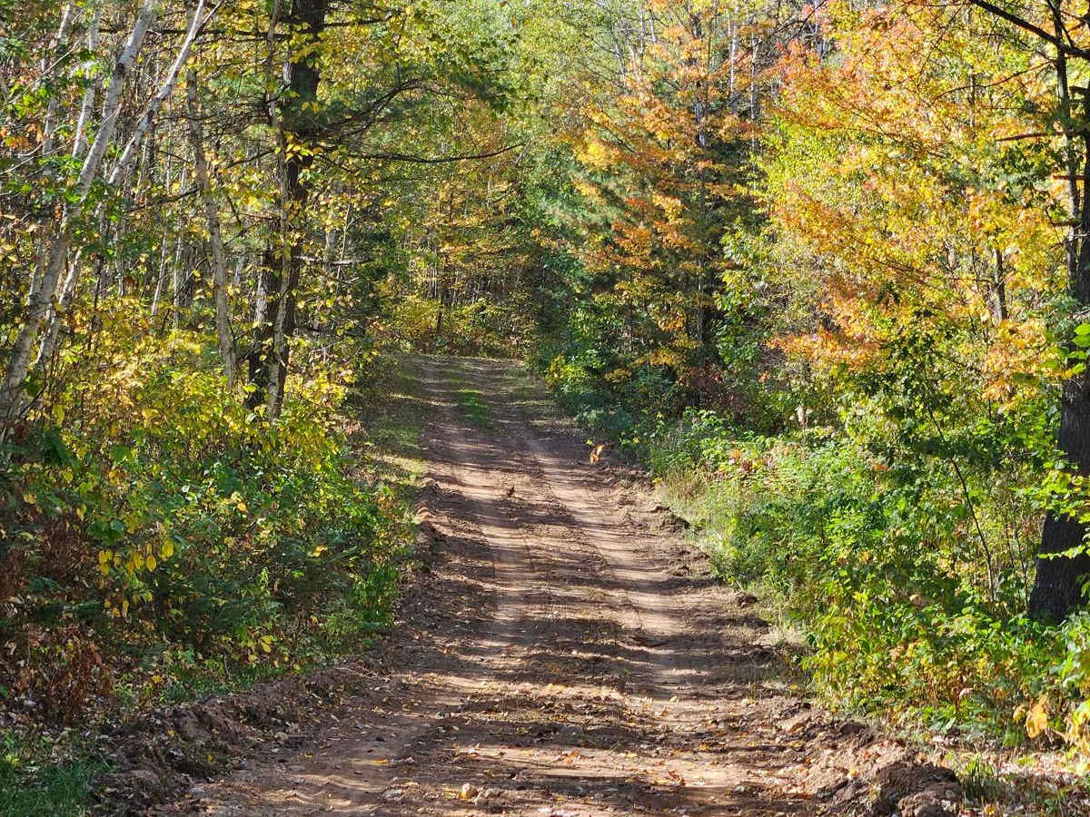 Sandy Summit Trail photo 2