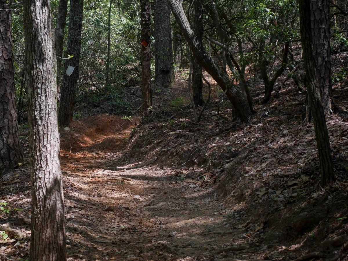 Ridge Top Trail C photo 6