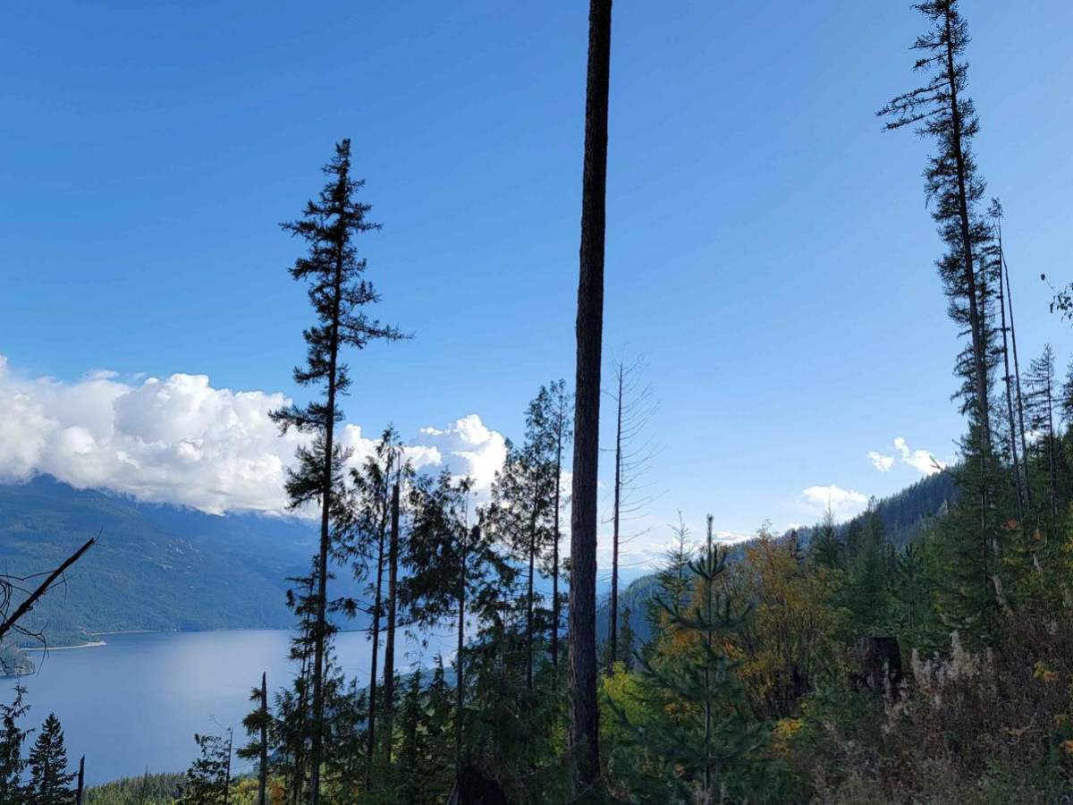 Milford Lake trail photo