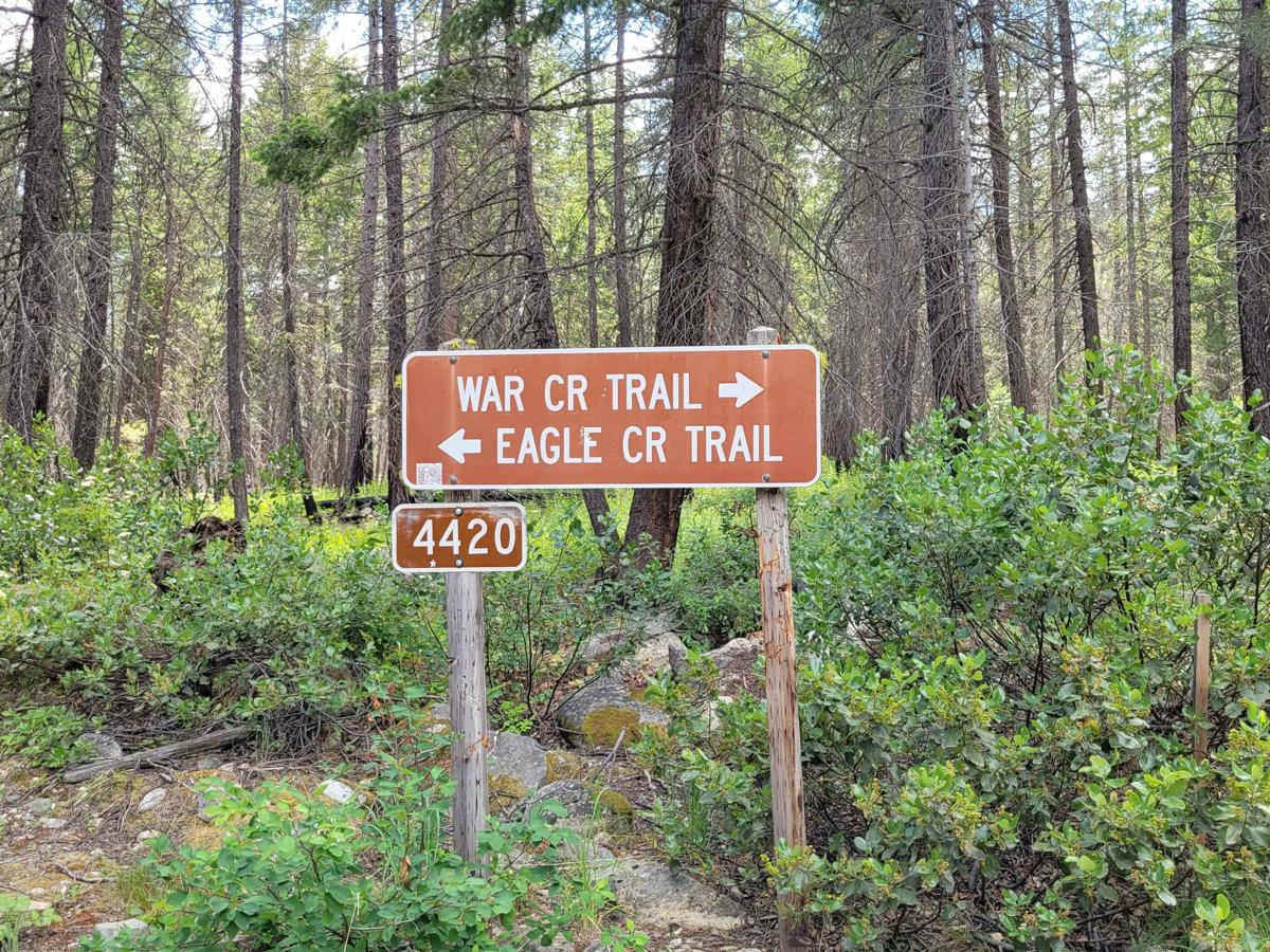 FR 4430 - War Creek/West Twisp River photo 3