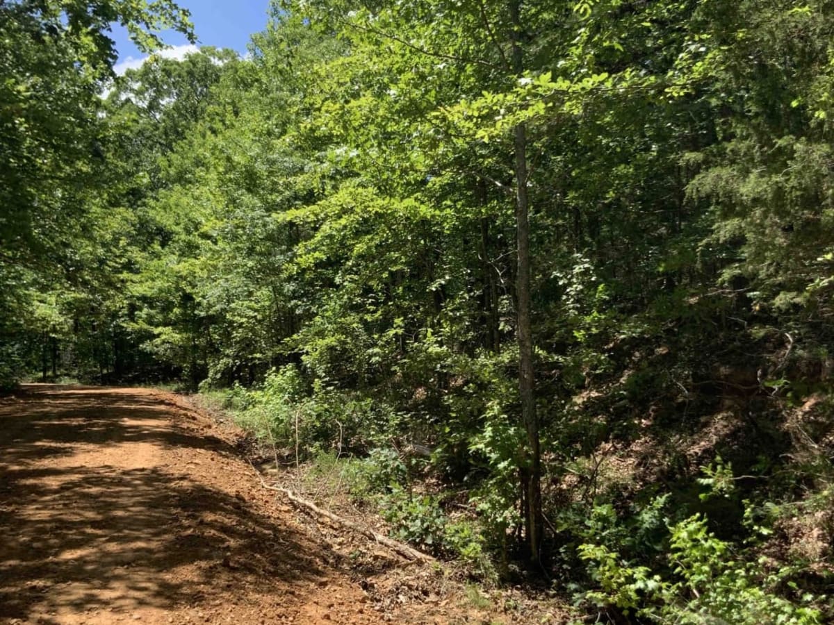 1541 / Briar Creek photo 2