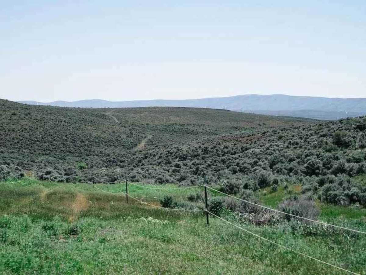 Colokum Road photo 4