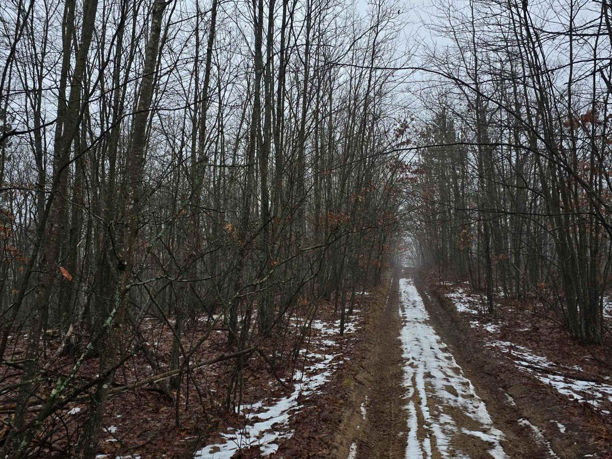 Oil Well Trail photo 2