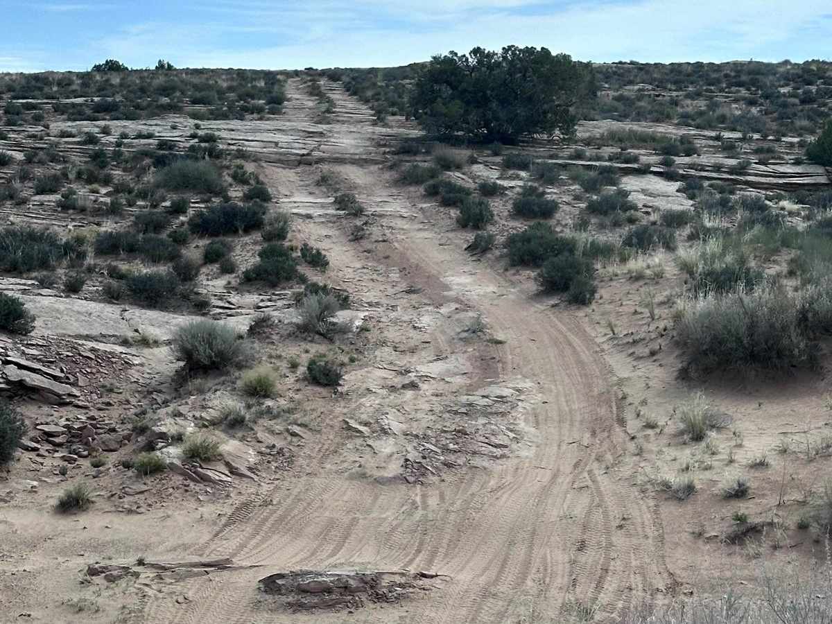 CR338 trail photo