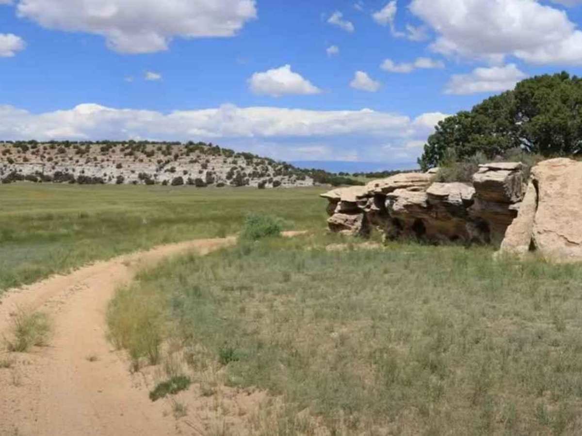 Wilberg Road - Prickly Pear Flat photo 4