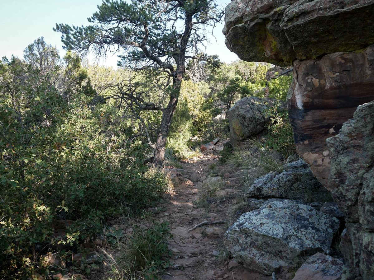 Fred Garza Memorial Trail photo 4