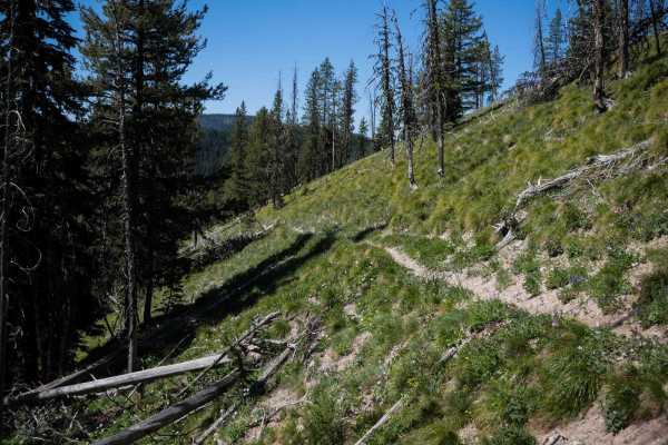 Colter Creek