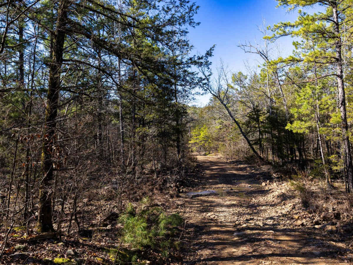 Billy Creek Spur Trail photo 4